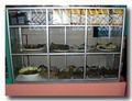 RM Paradiceの料理が並んだショーケース　