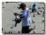 鳩にえさをやる少年