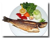 バルク・ウズガラ 焼き魚 スズキ